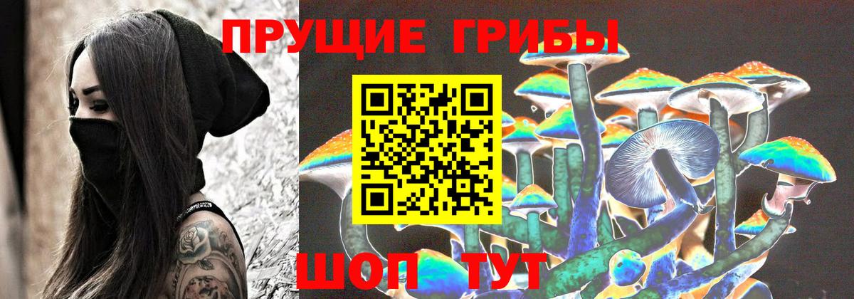 Галлюциногенные грибы прущие грибы Балтийск