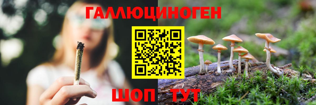 Псилоцибиновые грибы ЛСД  Вход с VPN  Балтийск 